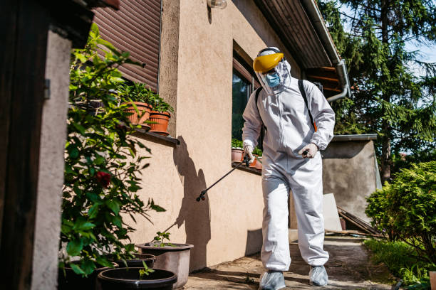 Flea Control Services in Livermore, CA