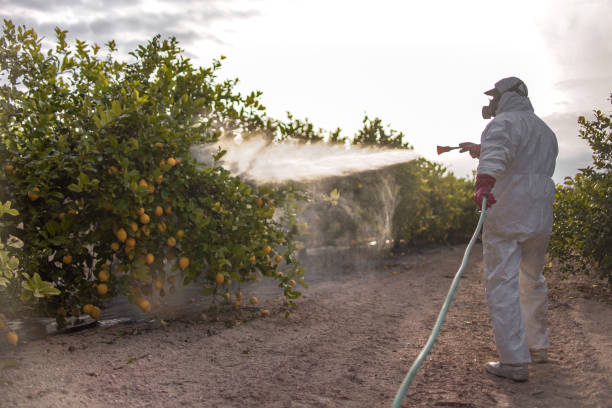 Best Commercial Pest Control Services  in Livermore, CA