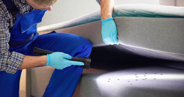 Best Affordable Pest Control Services  in Livermore, CA
