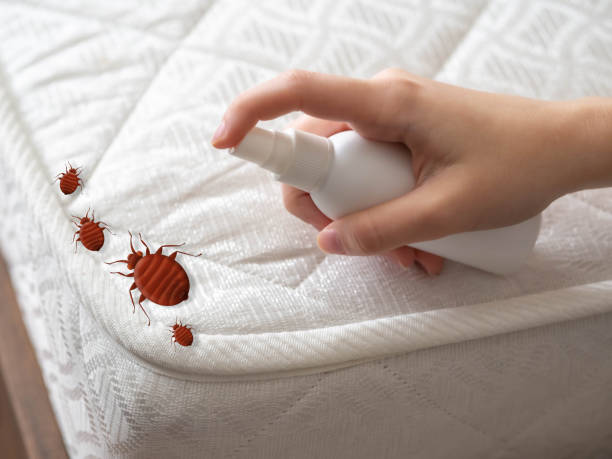 Professional Pest Control in Livermore, CA