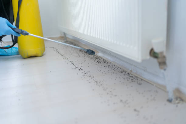 Best Wildlife Control Services  in Livermore, CA