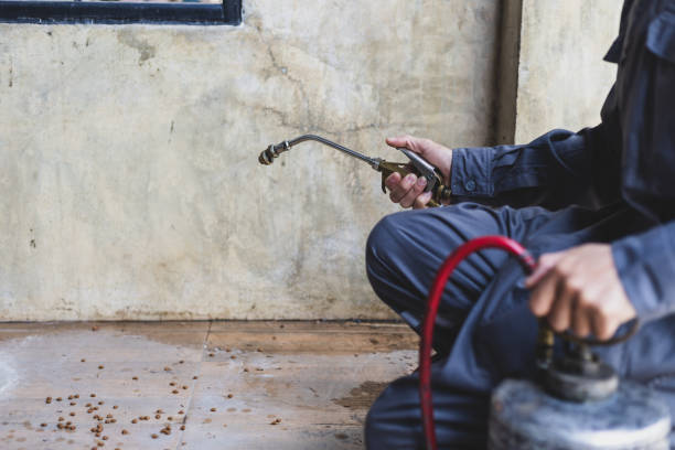 Best Wasp Removal Services  in Livermore, CA